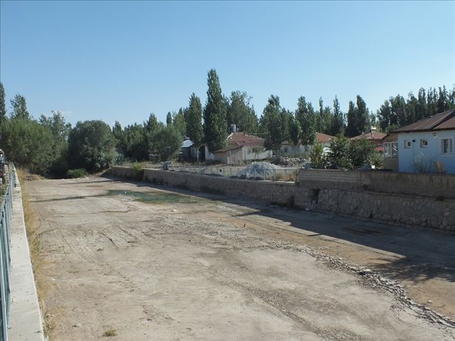 TECER IRMAĞI KURUDU