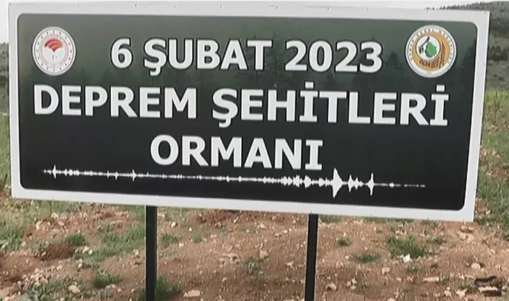 Orman Alanlarında Toprak Arındırılıyor
