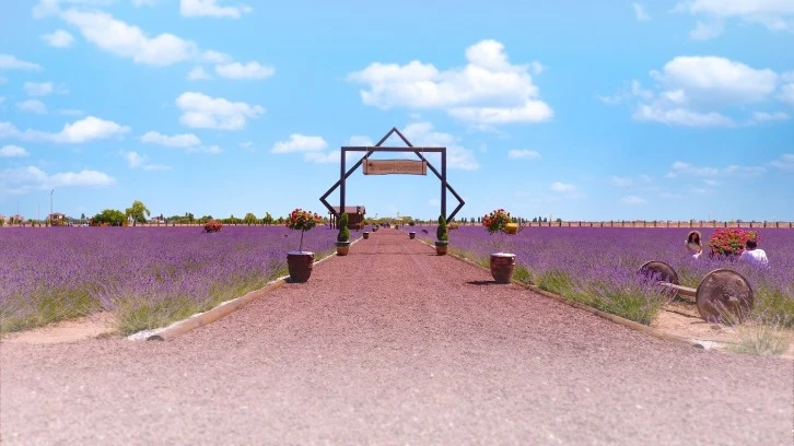 1 Temmuz'da Kapılarını Açıyor