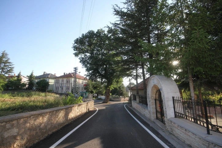 Kesmeye Kıyamadılar Yol Ortasında Kaldı