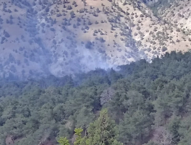 Yangınların Çoğunluğu Yıldırımlardan Kaynaklanıyor