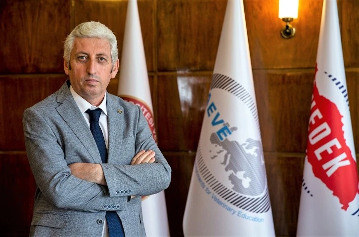 Doğru Mücadeleyle Sineklerin Sayısı Azalır