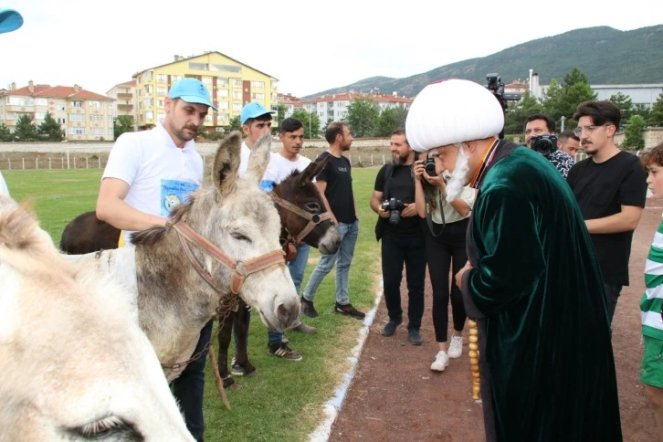 Konya'da Eşek Yarışması Yapıldı