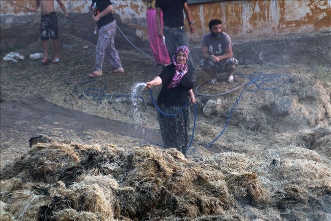 ŞARKIŞLA´da SAMANLIK YANGINI