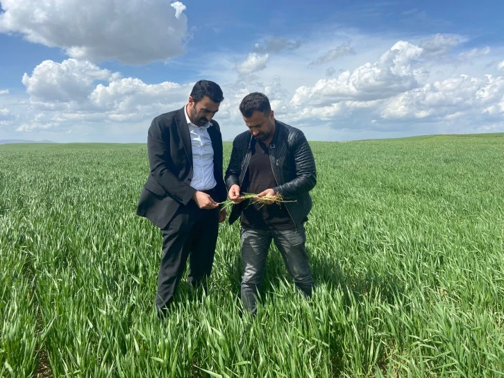 İlçeler Üvey Evlat Mı?