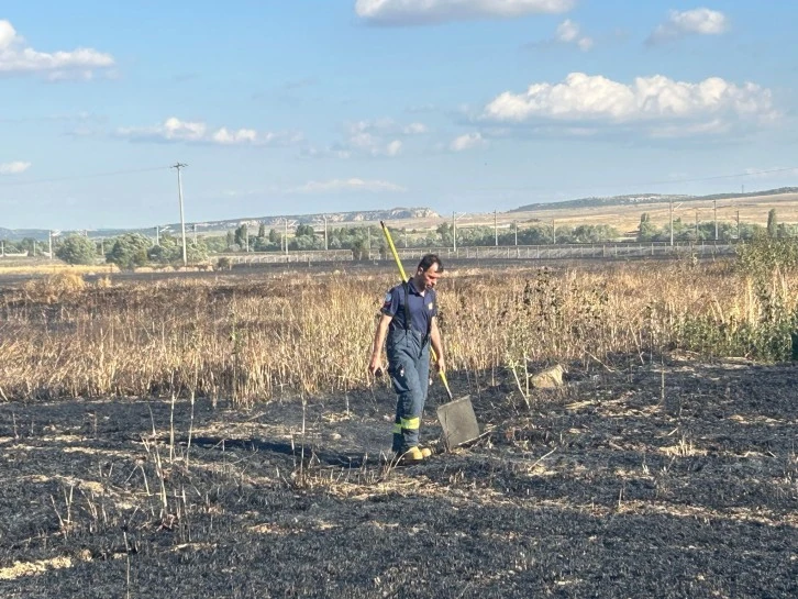 Elektrik Teline Konan Kuşu Elektrik Çarptı, 60 Dönüm Arazi Zarar Gördü