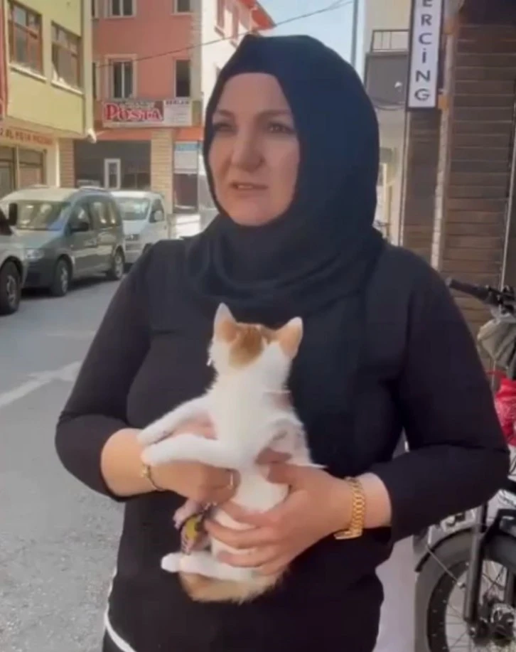 Balkonda Mahsur Kalan Yavru Kedi Kurtarıldı