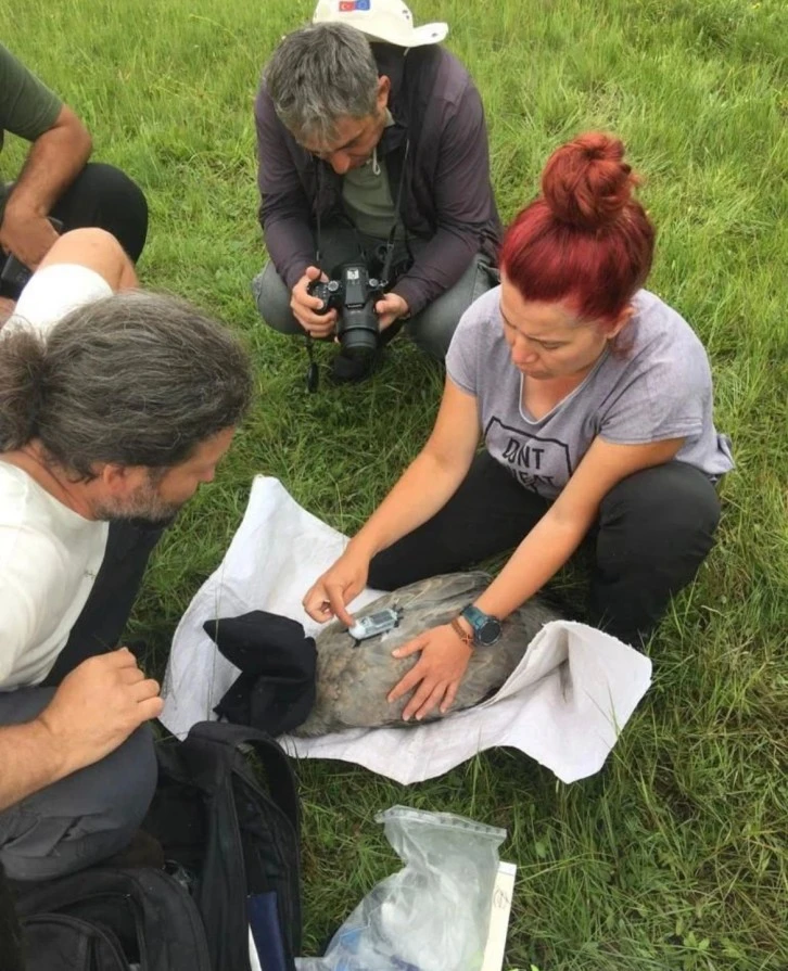 "Turnalar Türkülerde Kalmasın"