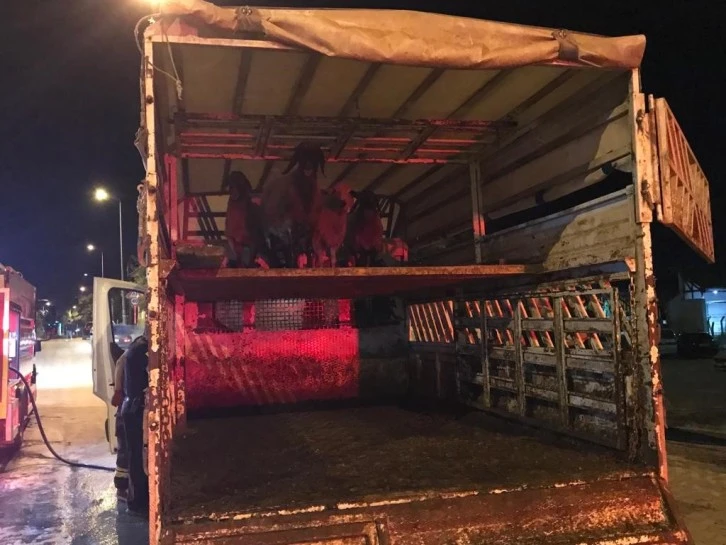 Seyir Halindeki Koyun Yüklü Kamyonet Alev Aldı