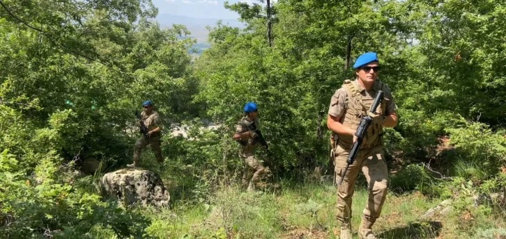 Komandolar Orman Denetiminde