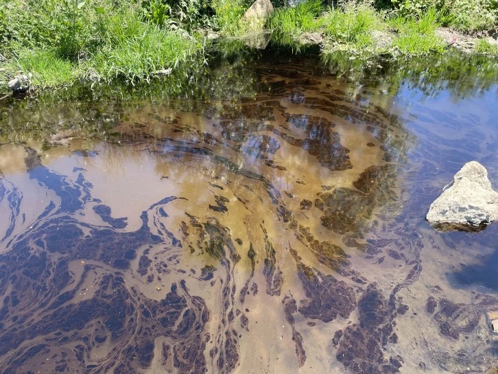 Kızılırmak'ta ki Kirliliğin Nedeni Araştırılıyor