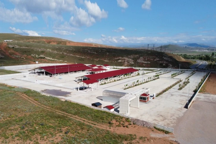 Hayvancılığa Katkı Sağlayacak