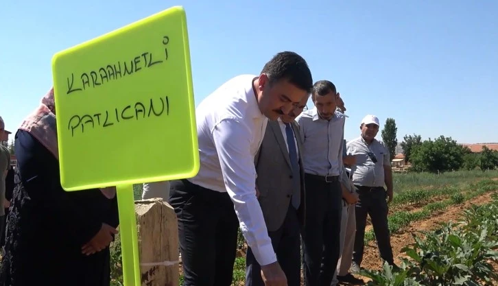 Ata Tohumlarından Organik Tarım