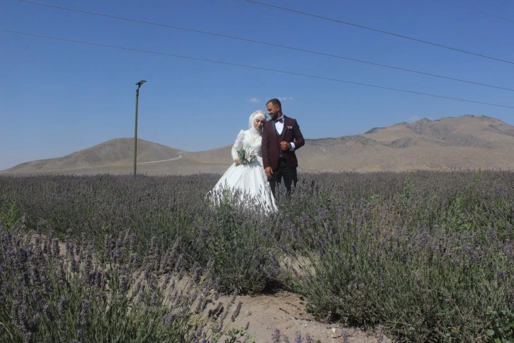 Evlenen Çiftlerin Uğrak Yeri Lavanta Bahçesi Oldu