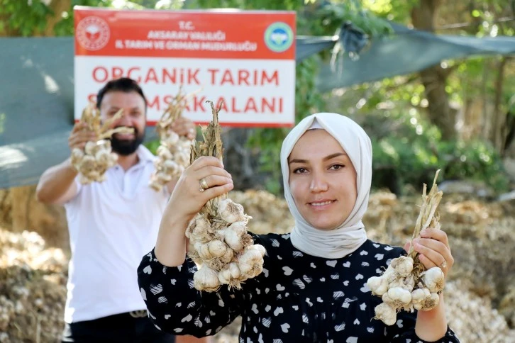 Aksaray'dan Rusya ve Almanya'ya Organik Antibiyotik