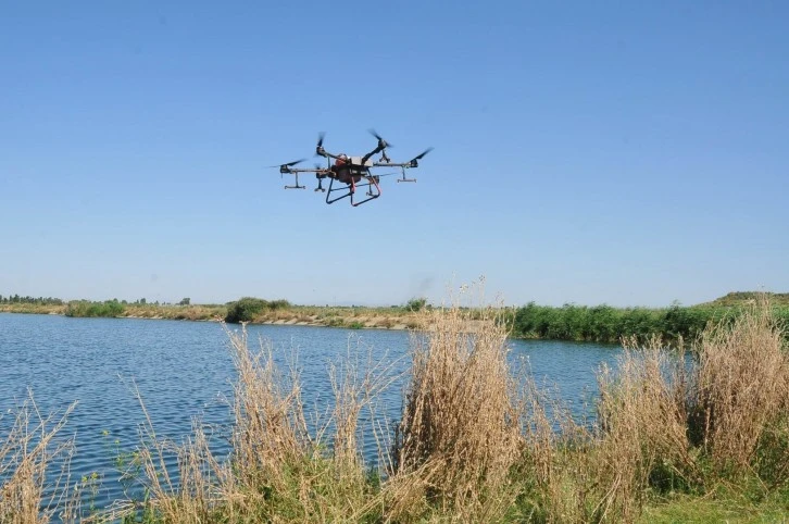 Kronomid Sineğine Dron İle Mücadele