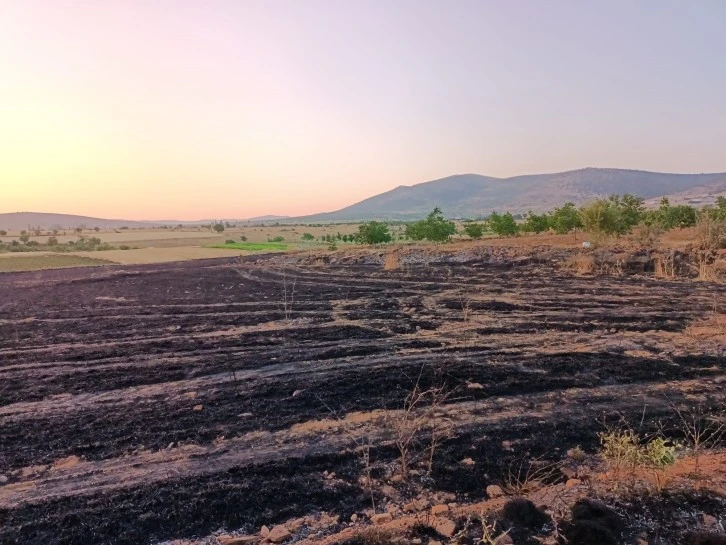 Arpa Ekili Arazide Yangın Çıktı