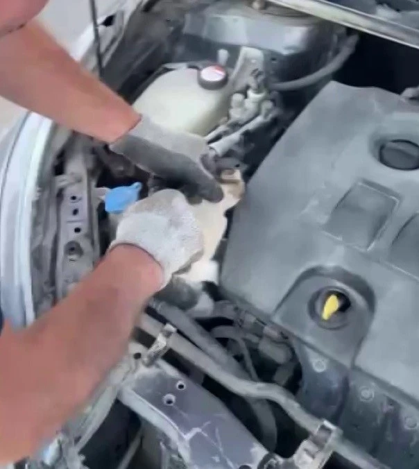 İtfaiyeden Kedi Operasyonu