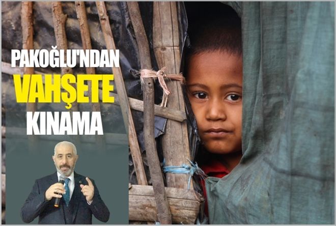 PAKOĞLU´NDAN VAHŞETE KINAMA