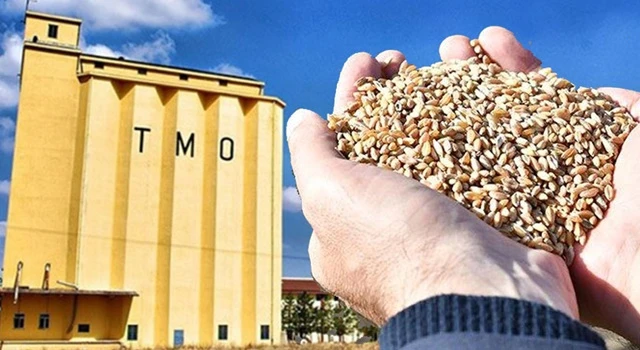 TMO Çiftçiyi Toprağa Küstürüyor