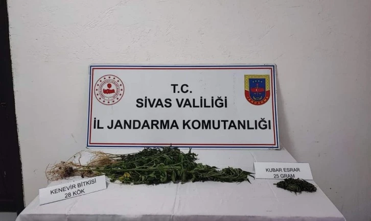 Kenevir ve Esrar Yakalandı