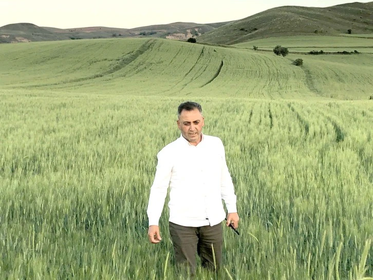 Aman Dikkat Dolandırılmayın