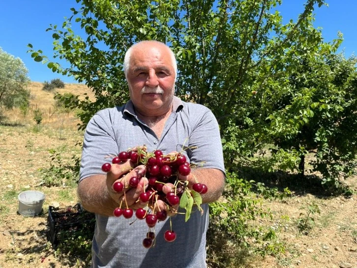 Coğrafi İşaretli Hasat Başladı
