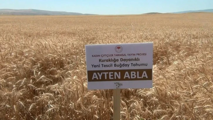 Bu Proje Çiftçiyi Güldürecek