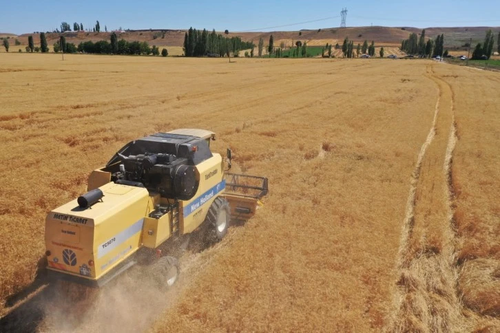 Çiftçinin Kantar Çilesi