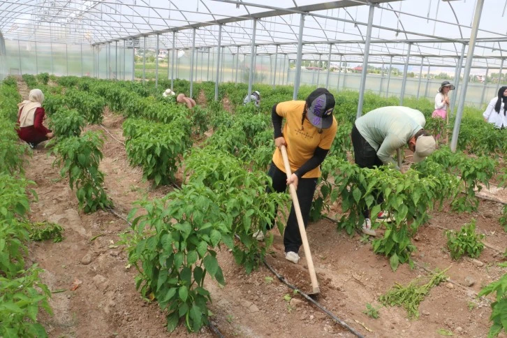 Uygulamalı Öğrenerek Kazanıyorlar