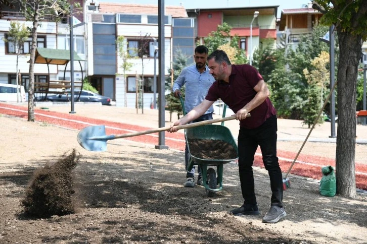Park Yenileme Çalışmaları Devam Ediyor