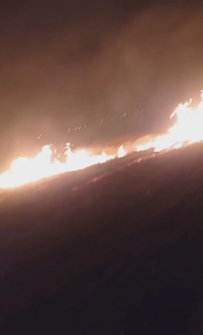 20 Dönüm Arazi Kül Oldu