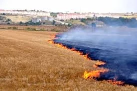 Yakılan Anız Yangını Yaşam Yerlerine Sıçradı