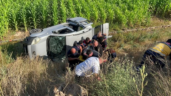 Mısır Tarlasında Can Pazarı