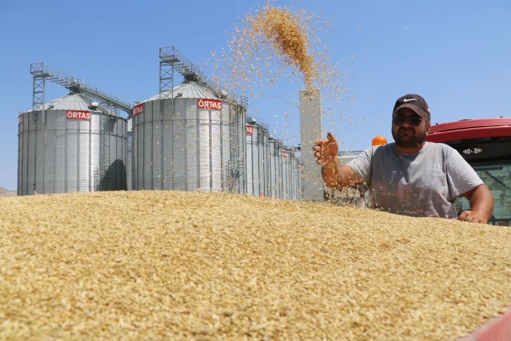 Buğday Ambarında Yeni Bir Rekor Bekleniyor