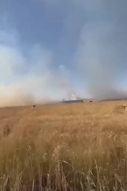 Buğday ve Arpa Tarlaları Kül Oldu