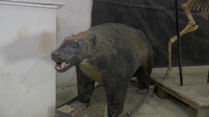 7,5 Yıl Sonra Yeniden Ayaktalar