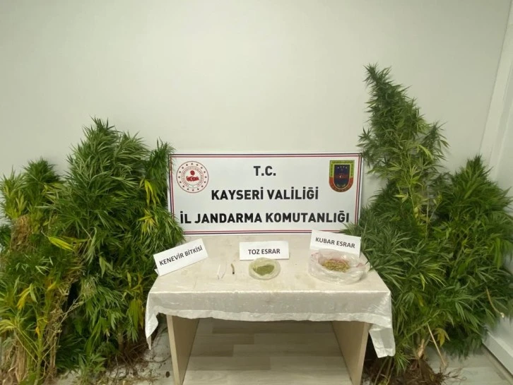 Kenevir Yetiştiren Şahıs Yakalandı