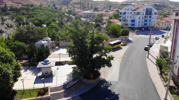 700 Yıllık ‘Kanlı Pelit’ Moğol Baskınının Tek Canlı Şahidi