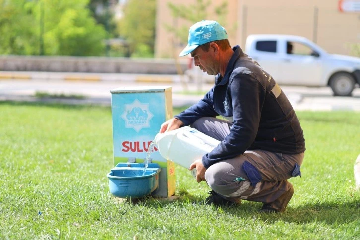 Kavurucu Sıcaklarda Can Dostlarını Unutmadılar