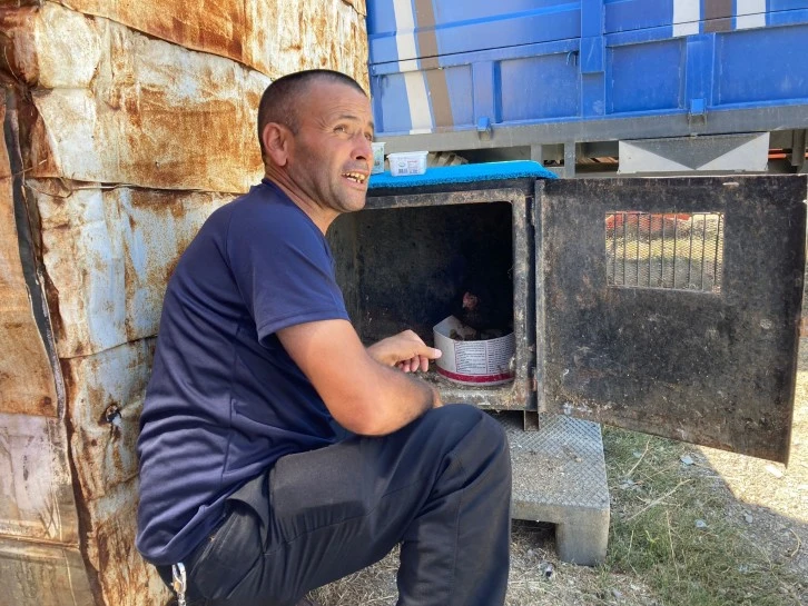 Yılanlar Sayesinde Efsane Oldu