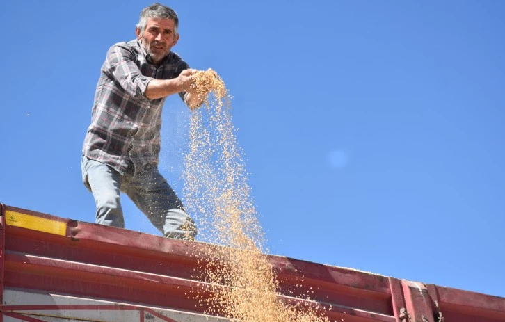 Çiftçiden TMO'ya İsyan