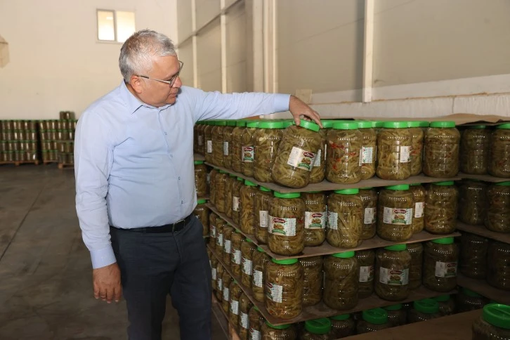 Vali Şimşek Turşu Merkezini İnceledi