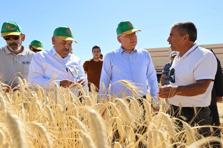 Trikale’de Rekor Bekleniyor