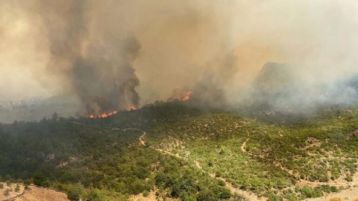 Çanakkale Yangını Kontrol Altında