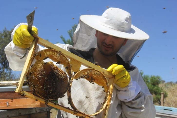 Sivas'ta Bal Rekoltesi Düştü