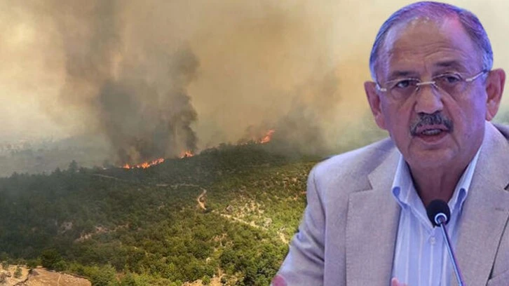 Yanan Her Ağacın Yerine Yenisini Dikeceğiz