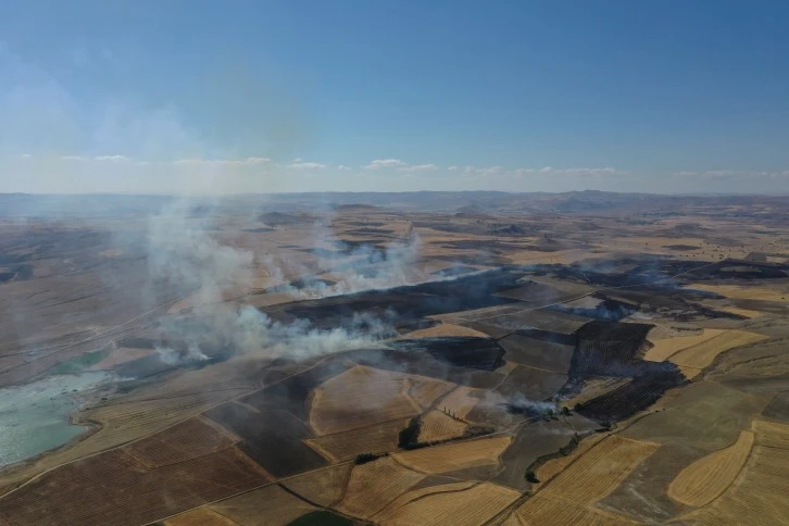 Tutmaç Köyü'nde Anız Yangını