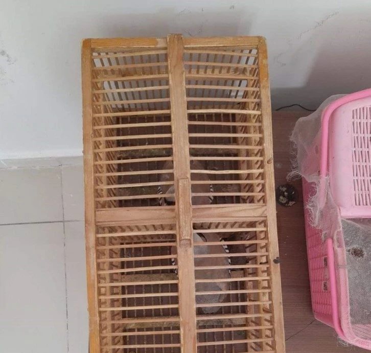 Kurak Avı Yaparken Yakalandı