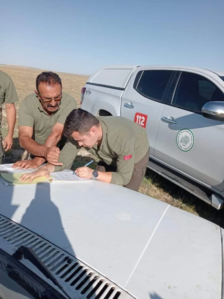 Şahin Avcıları Yakalandı